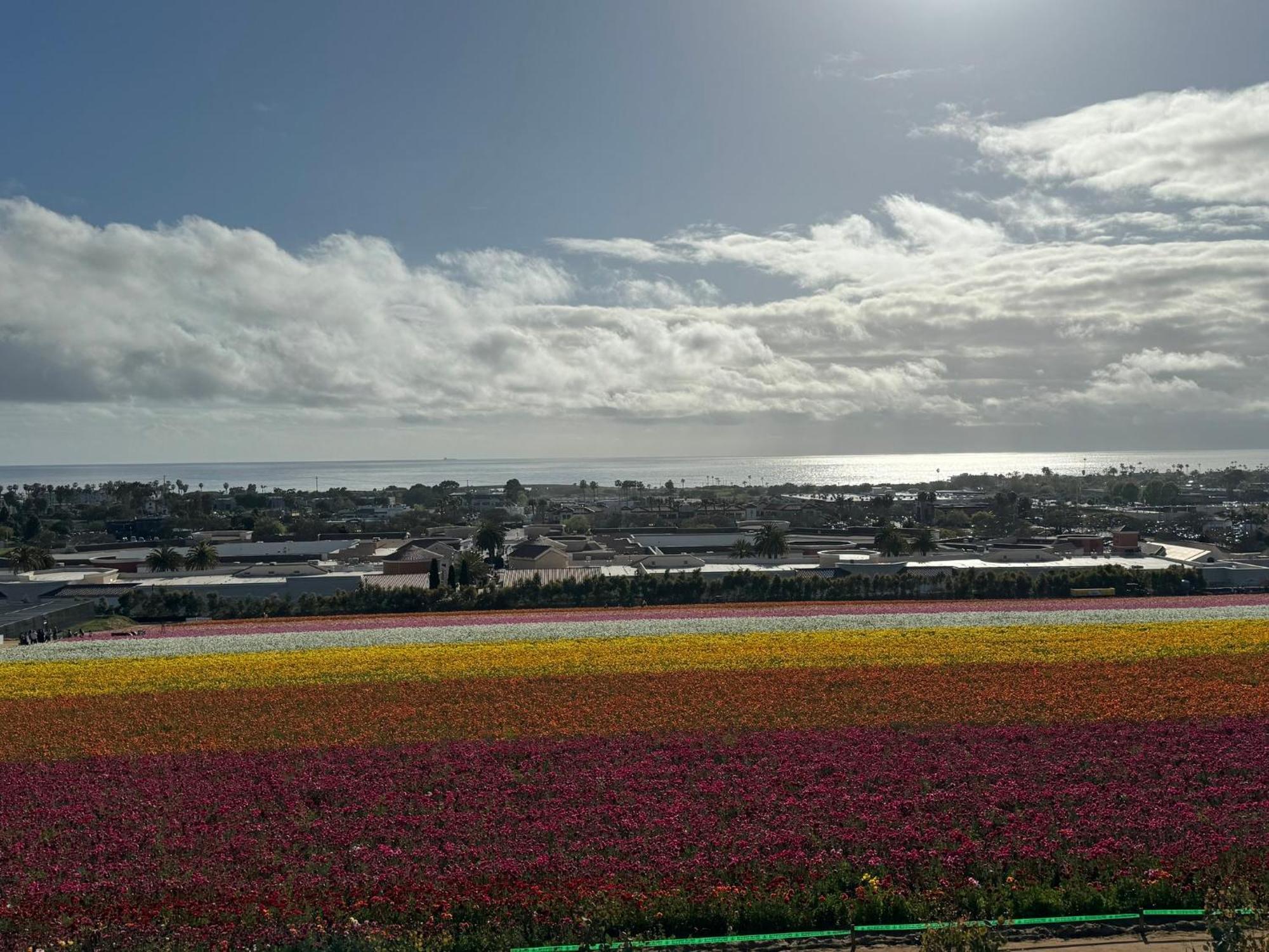 Holiday Inn Express Hotel & Suites Carlsbad Beach By Ihg Exteriér fotografie